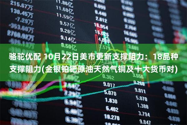 骆驼优配 10月22日美市更新支撑阻力：18品种支撑阻力(金银铂钯原油天然气铜及十大货币对)