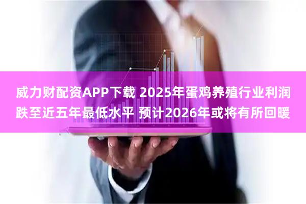 威力财配资APP下载 2025年蛋鸡养殖行业利润跌至近五年最低水平 预计2026年或将有所回暖