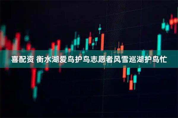 喜配资 衡水湖爱鸟护鸟志愿者风雪巡湖护鸟忙