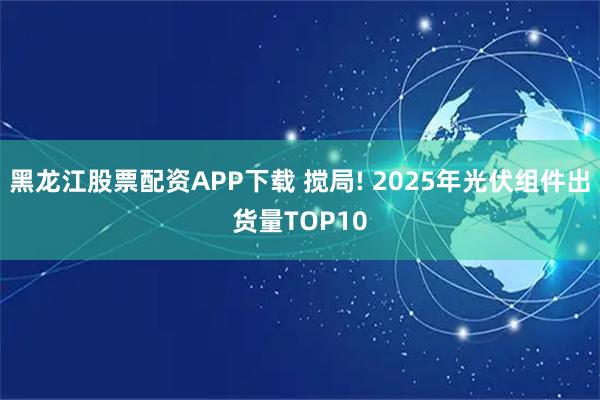 黑龙江股票配资APP下载 搅局! 2025年光伏组件出货量TOP10